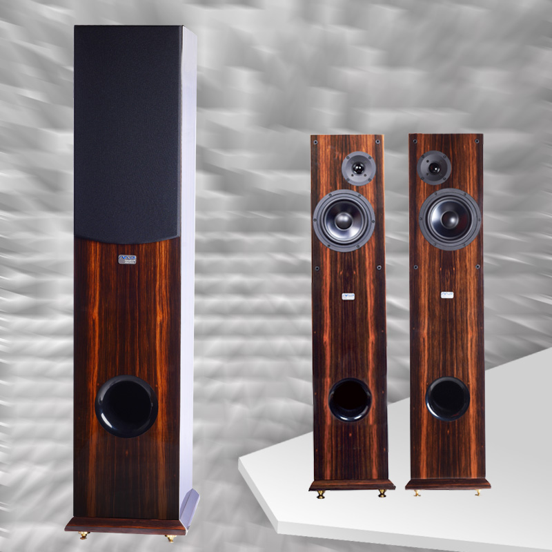 美国MP 落地音响 MP-HIFI800-6